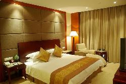 朋生雅居大酒店主图