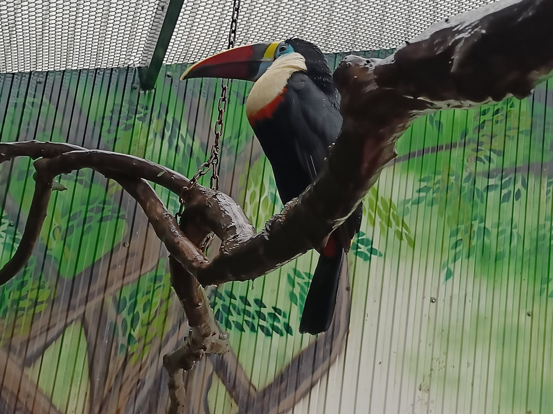 Peeku Park Yercaud-亚尔考德必去景点