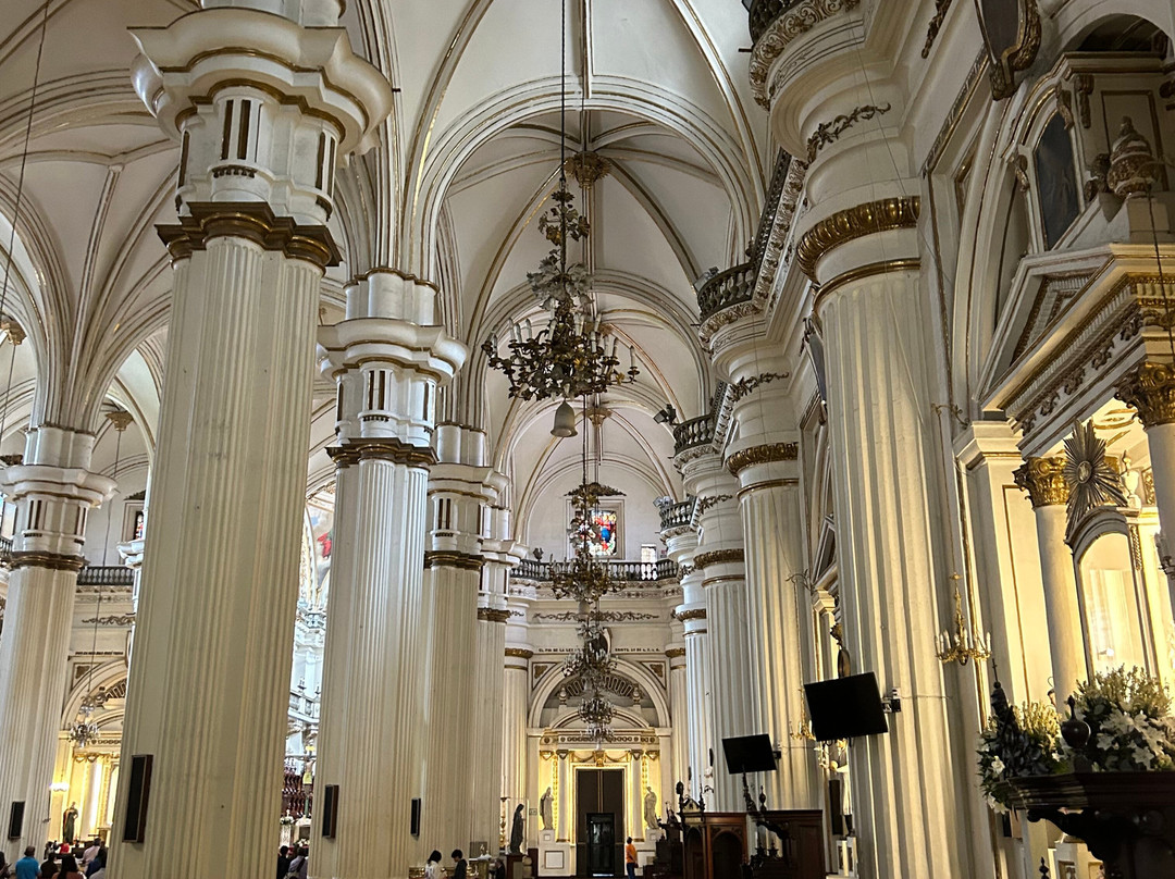 MAGNIFICENT TOURS MX-Chapala必去景点