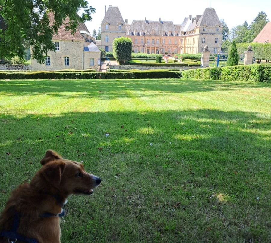 Château de Drée景点图片