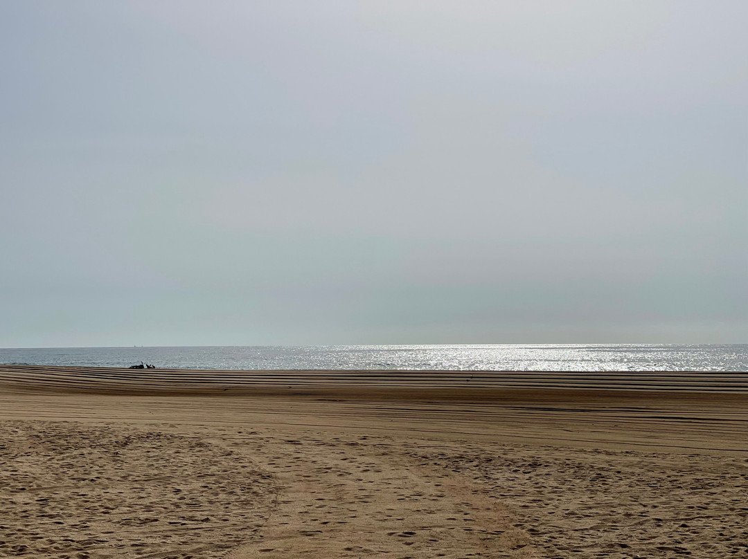 Ajuntament de Premià de Mar-Premia de Mar必去景点