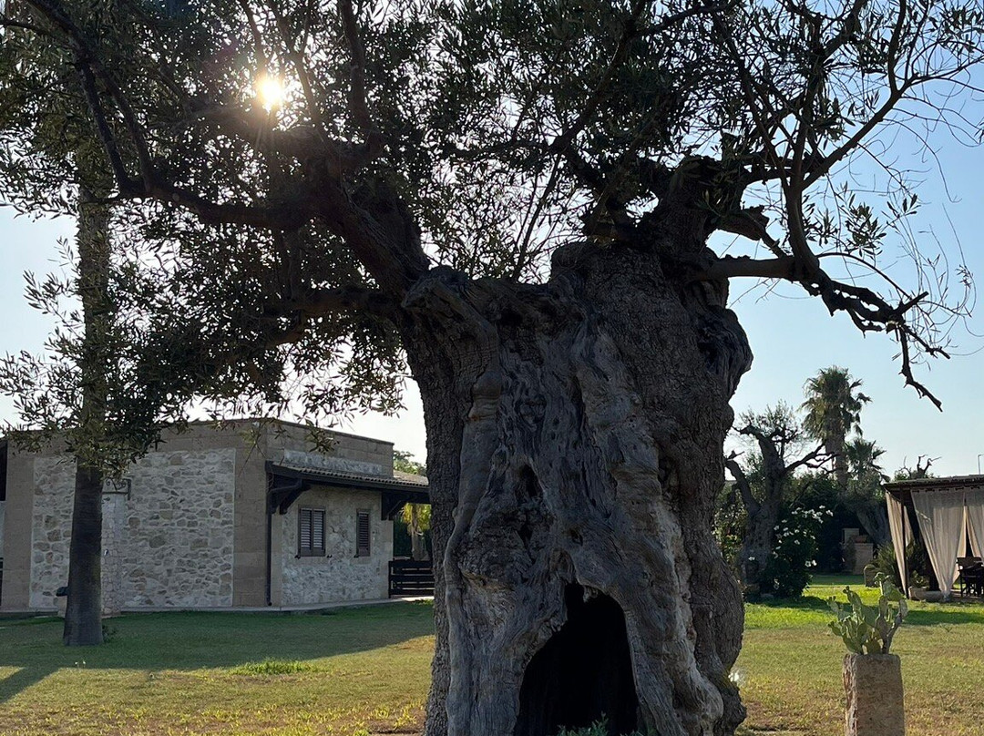 Masseria Giamarra主图