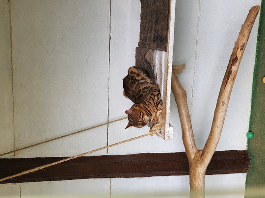 Fazendinha Ecológica Três Irmãos-Lagoa Dourada必去景点