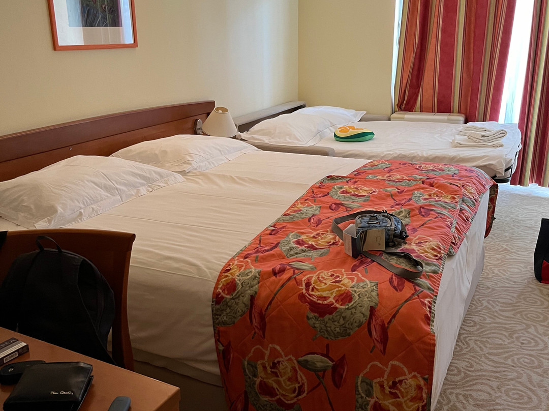 Amadria Park Hotel Niko主图