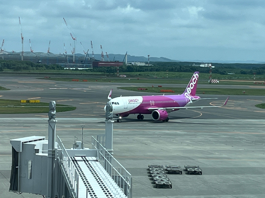 New Chitose Airport Observation Deck-千岁市必去景点