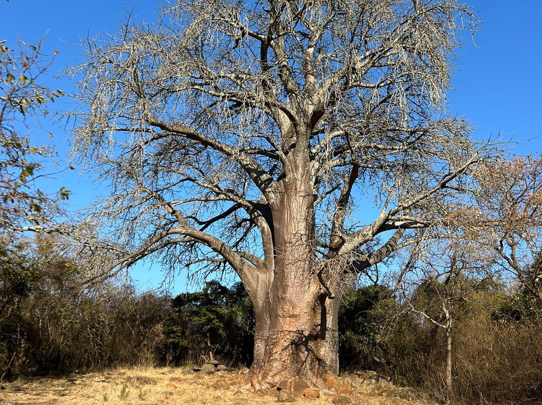 Madi a Thavha Mountain Lodge主图