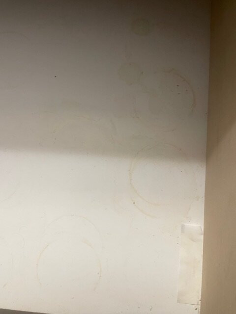 Red Roof Inn & Suites主图