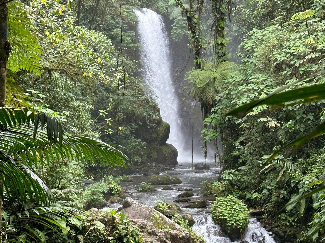 Tropical Tours Shuttles-蒙特祖玛必去景点