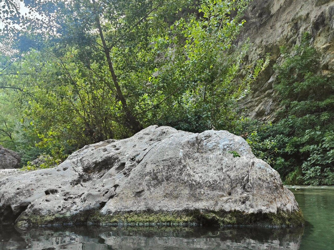 Sorgenti solfuree de Lu vurghe景点图片