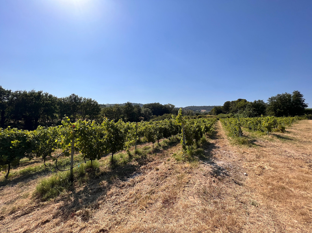 Domaine Le Puy du Maupas-Puymeras必去景点