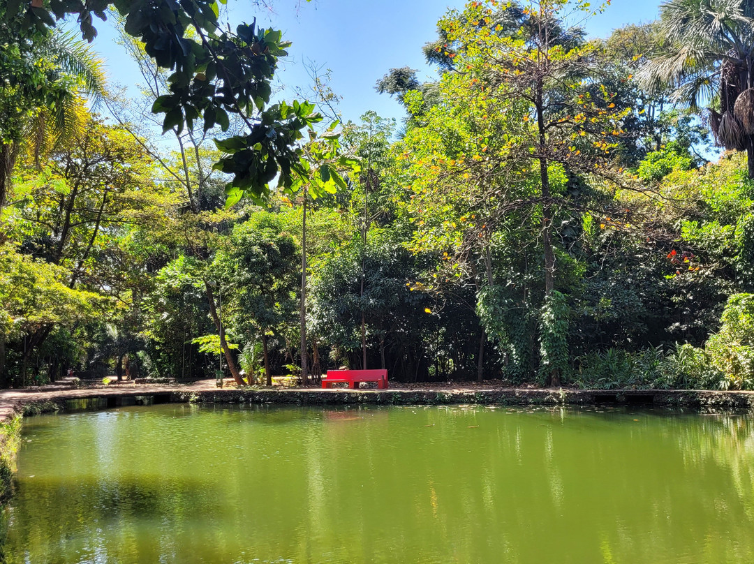 Bosque dos Buritis-戈亚尼亚必去景点