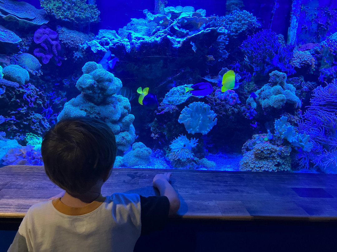 Oklahoma Aquarium-Jenks必去景点