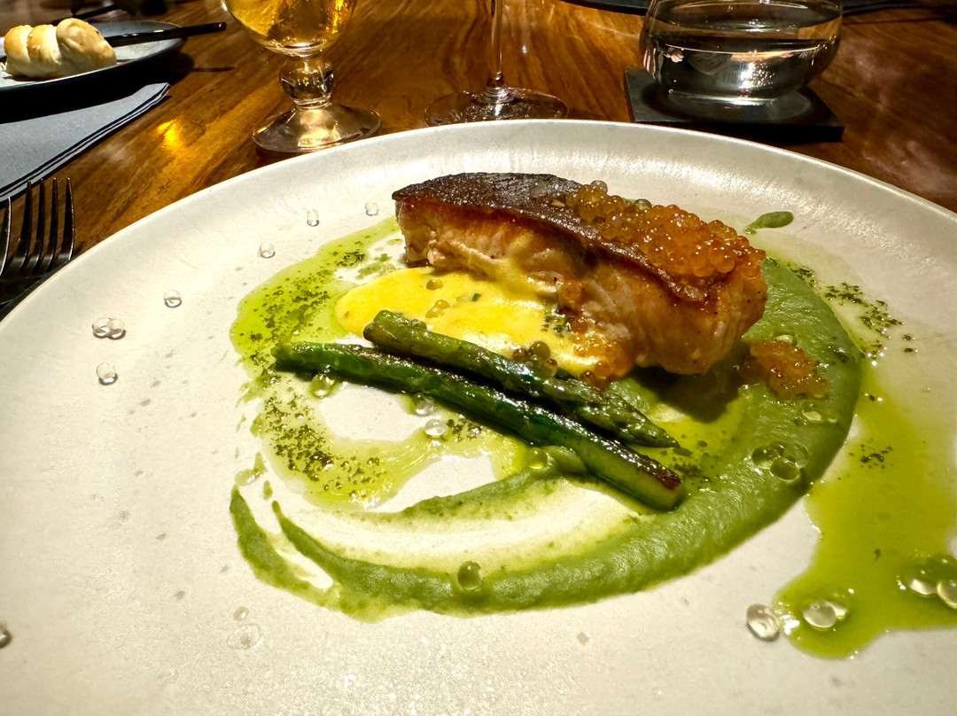 Cheetah Plains主图