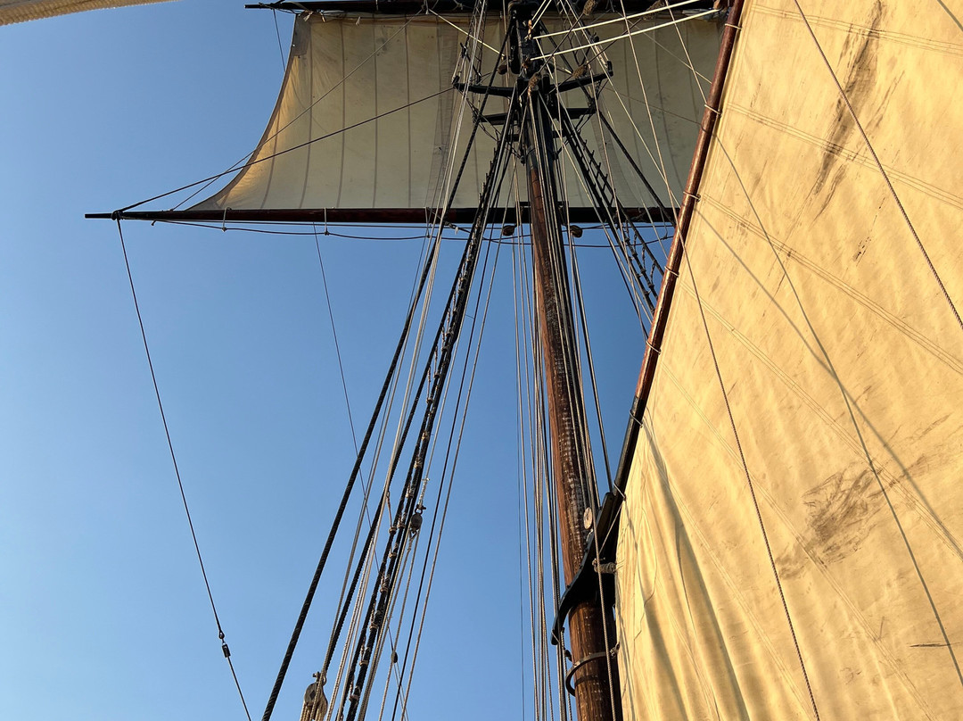 Tall Ship Providence-亚历山德里亚必去景点