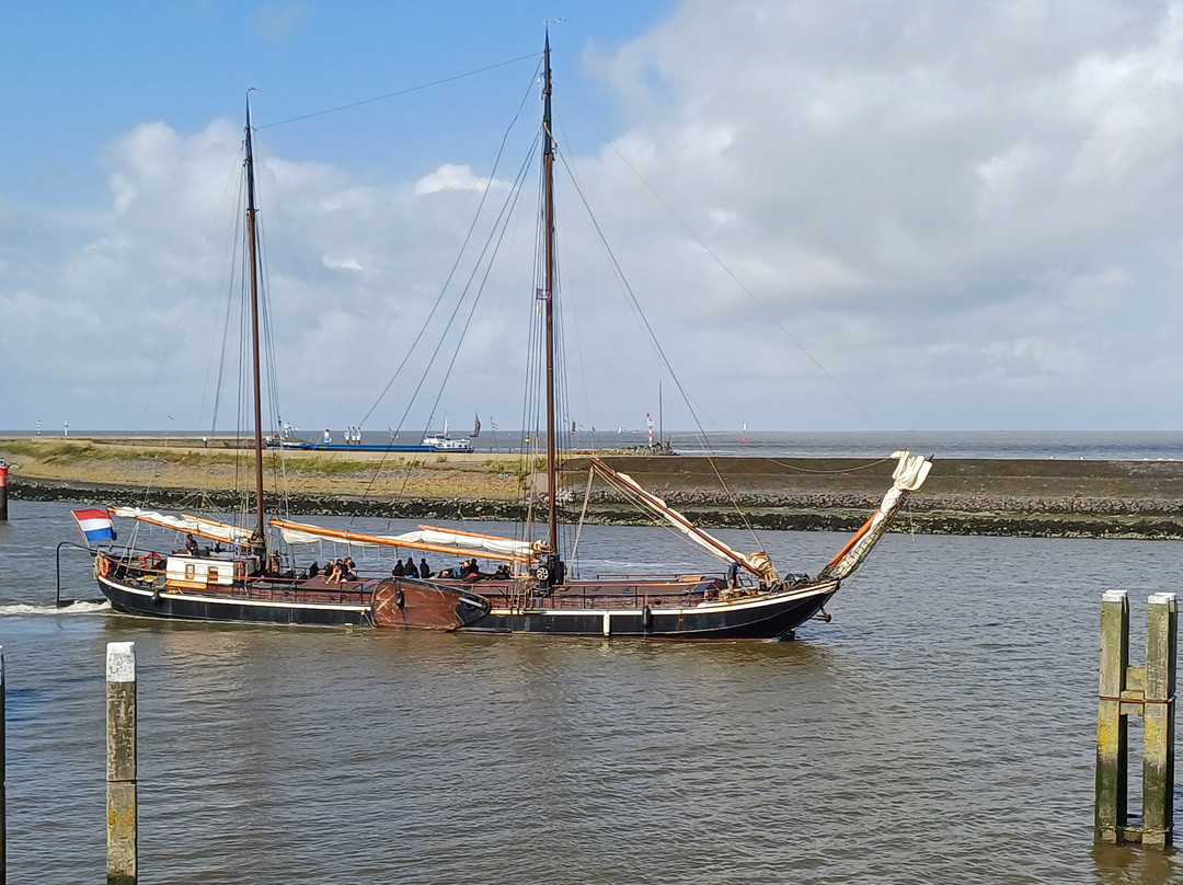 Port of Harlingen-哈灵根必去景点