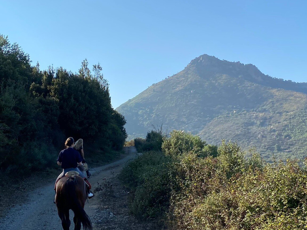 Ride Sicily景点图片