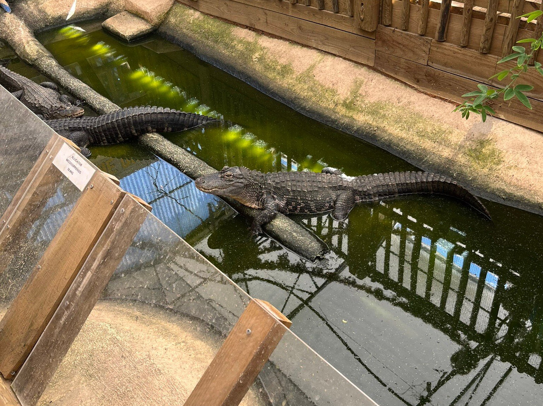 Aquarium du Perigord Noir景点图片