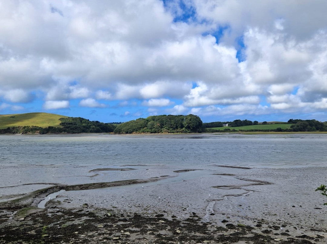 The Camel Trail-Wadebridge必去景点