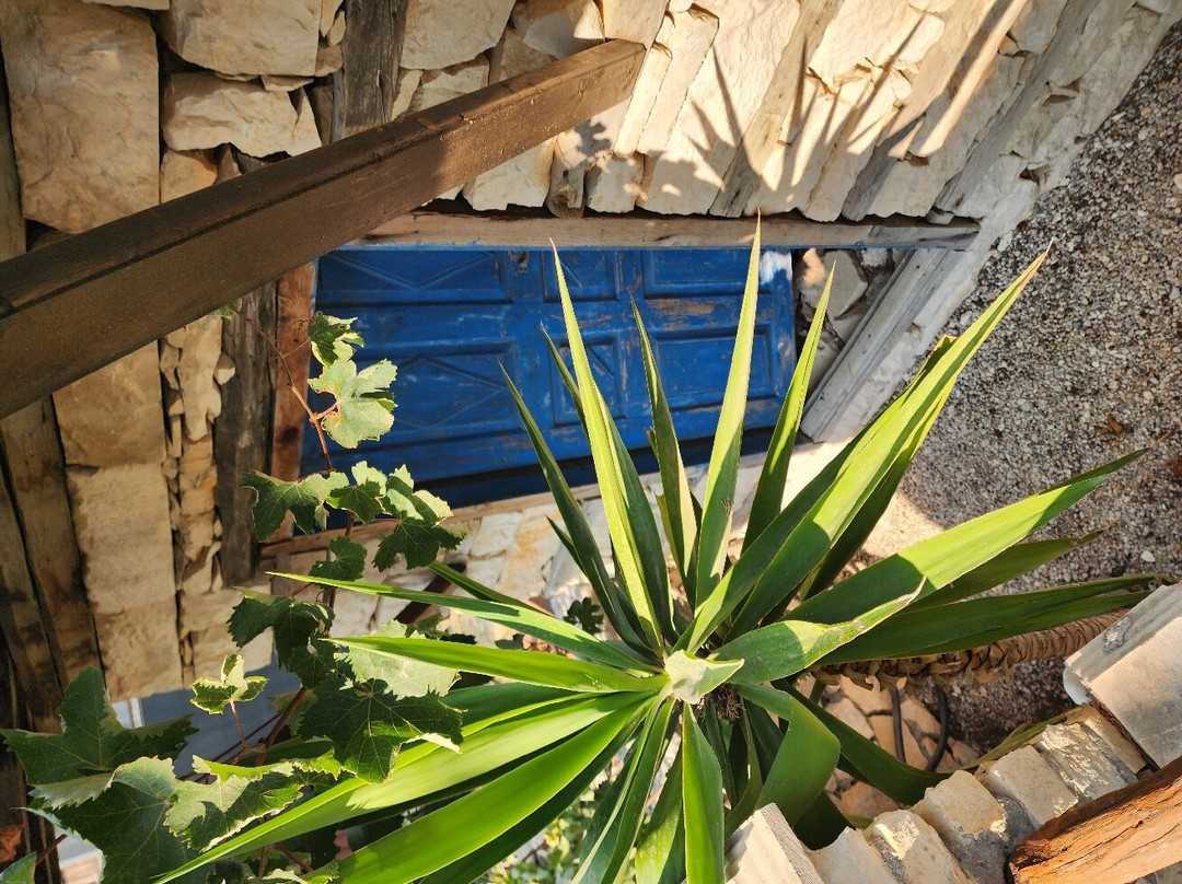 Patara Viewpoint Hotel主图