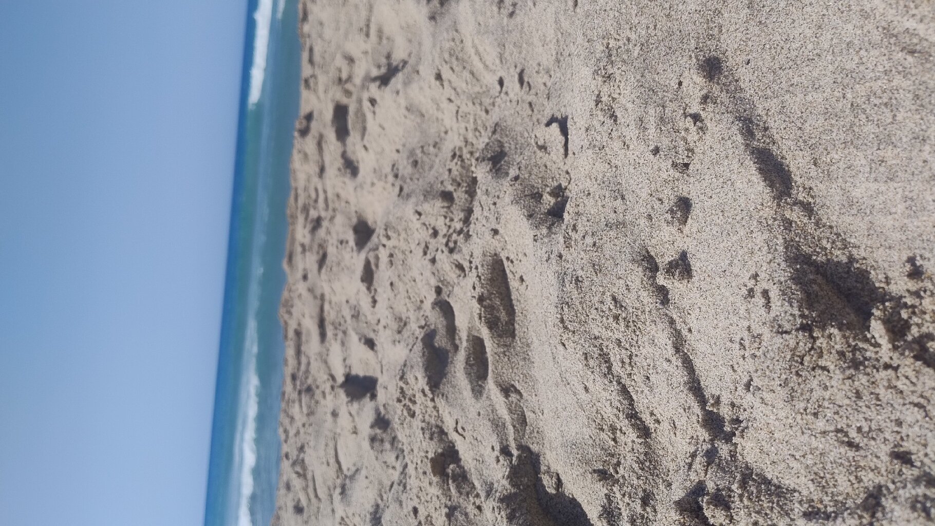 Spiaggia della Vecchia Marina-2024年8月30日上传的实拍图