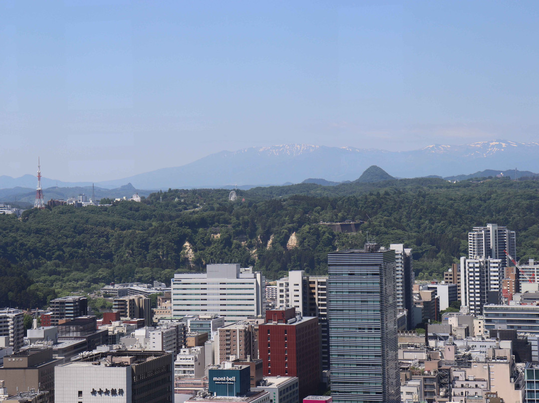 AER Lookout Terrace-仙台市必去景点