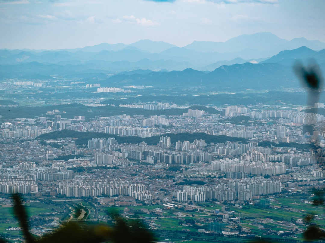 Moak Mountain-全州市必去景点