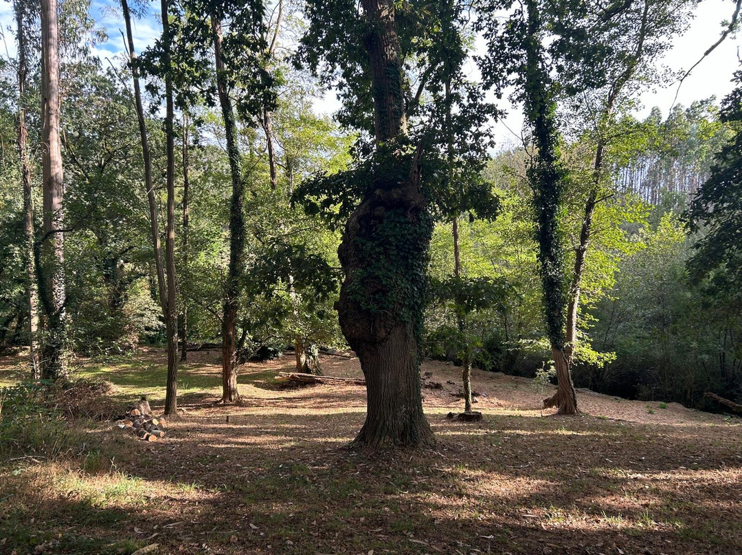 Pazo de Andeade主图