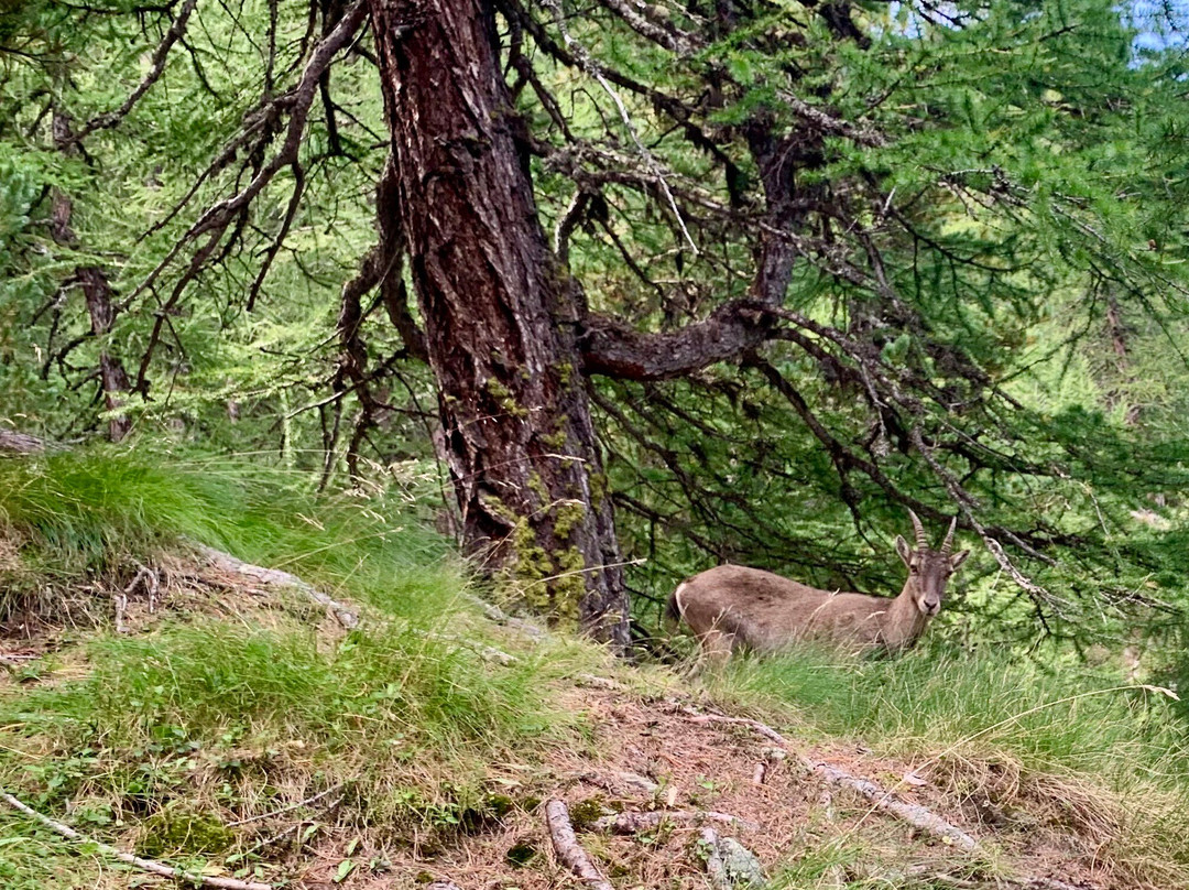 Montseuc Belvedere Sentiero natura-科涅必去景点