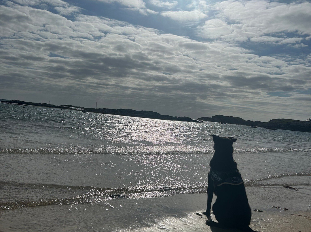 Trearddur Bay Beach景点图片