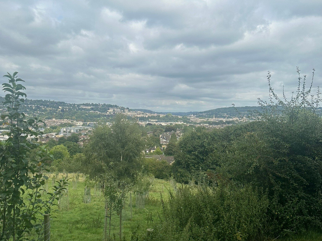 Bath City Farm景点图片