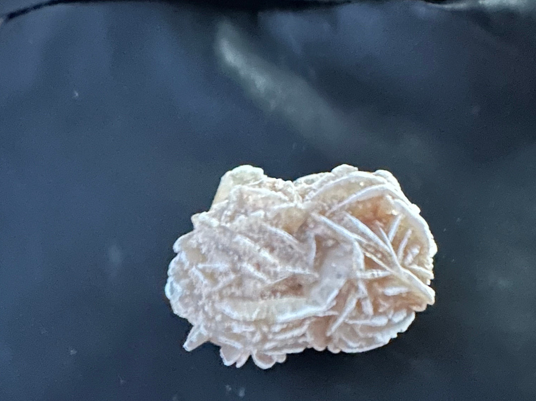 Zion Rock & Gem-斯普林代尔必去景点