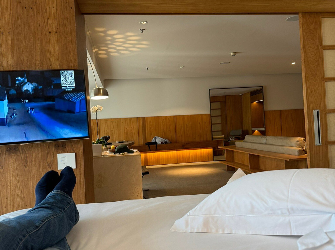 埃米利亚诺酒店主图