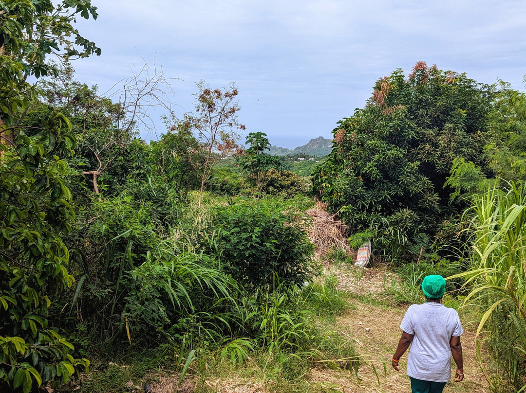 Ngozi Farm And Cultural Sanctuary-Swanns必去景点