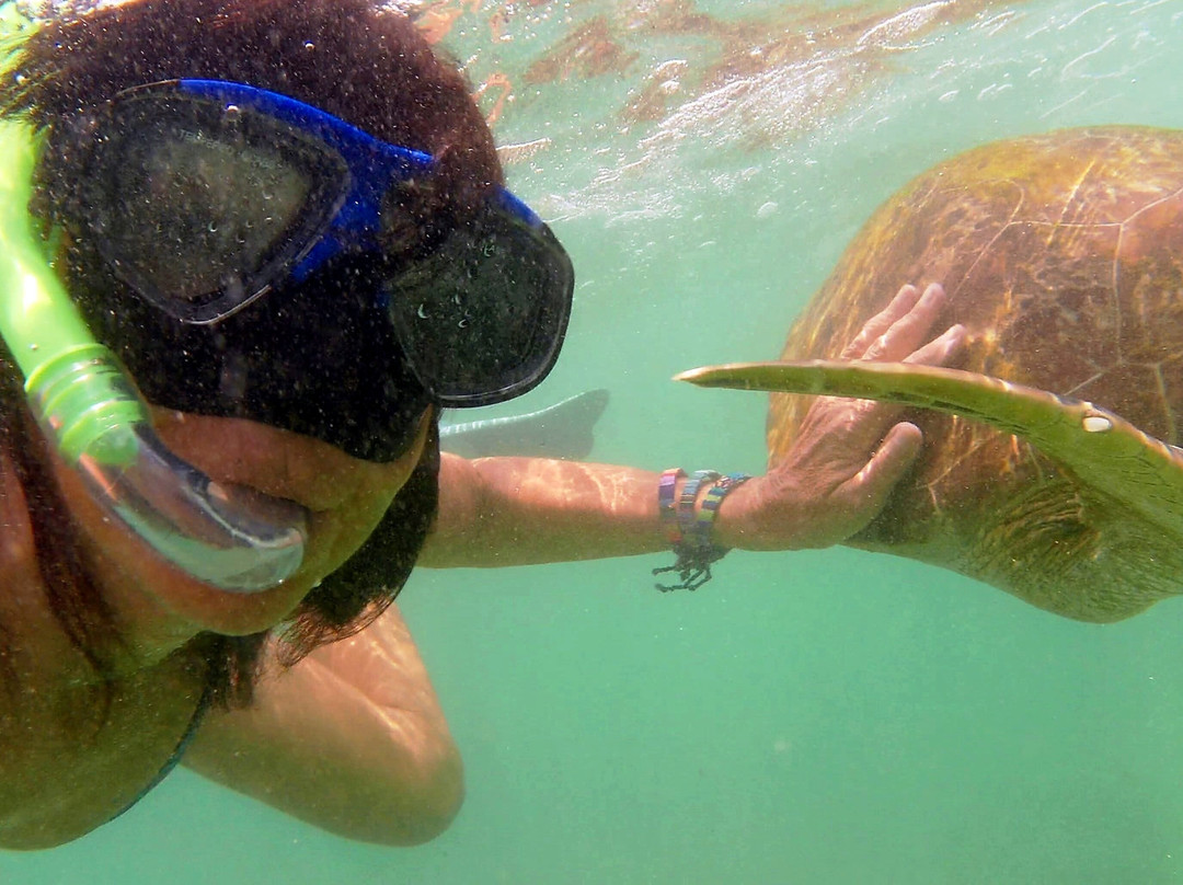Turtles Snorkeling in Mirissa-Thalaramba必去景点