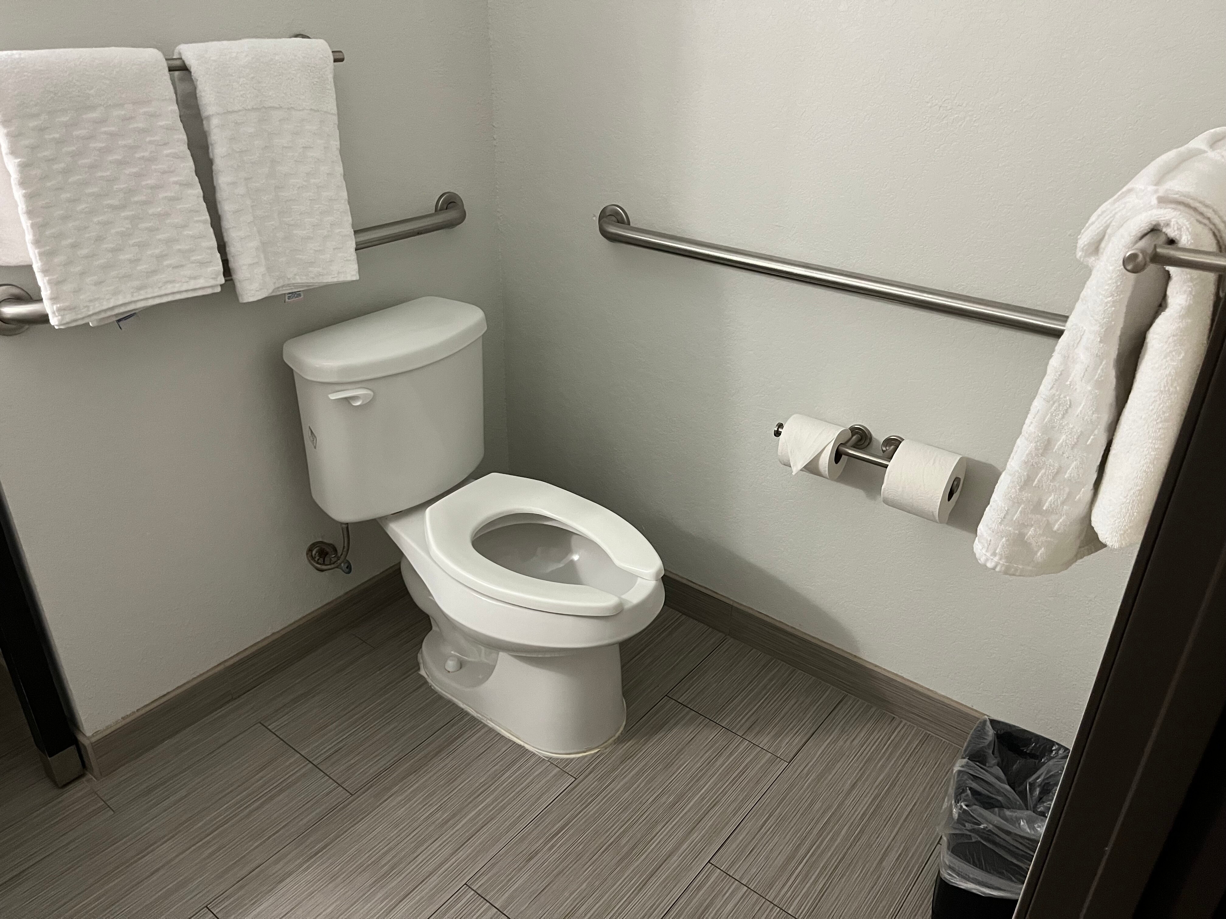 Best Western Plus College Station Inn & Suites-浴室