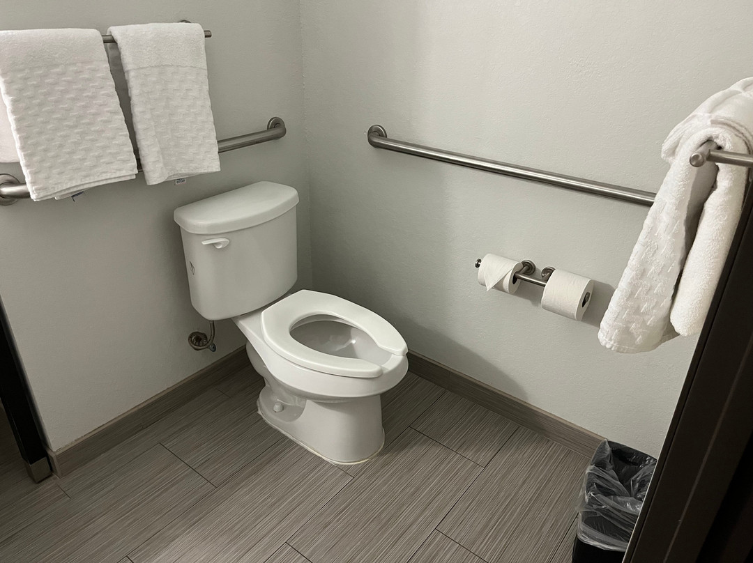 Best Western Plus College Station Inn & Suites主图