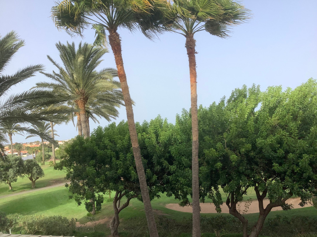 Elba Palace Golf Boutique Hotel主图