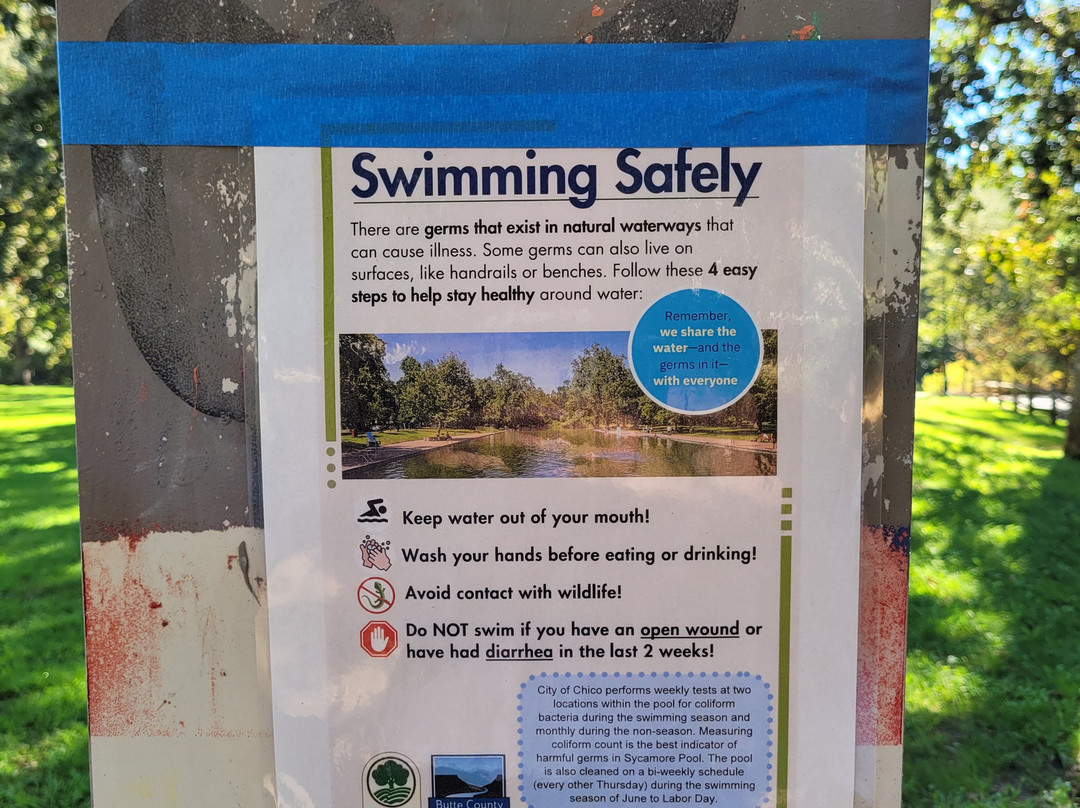 Sycamore Pool-奇科必去景点