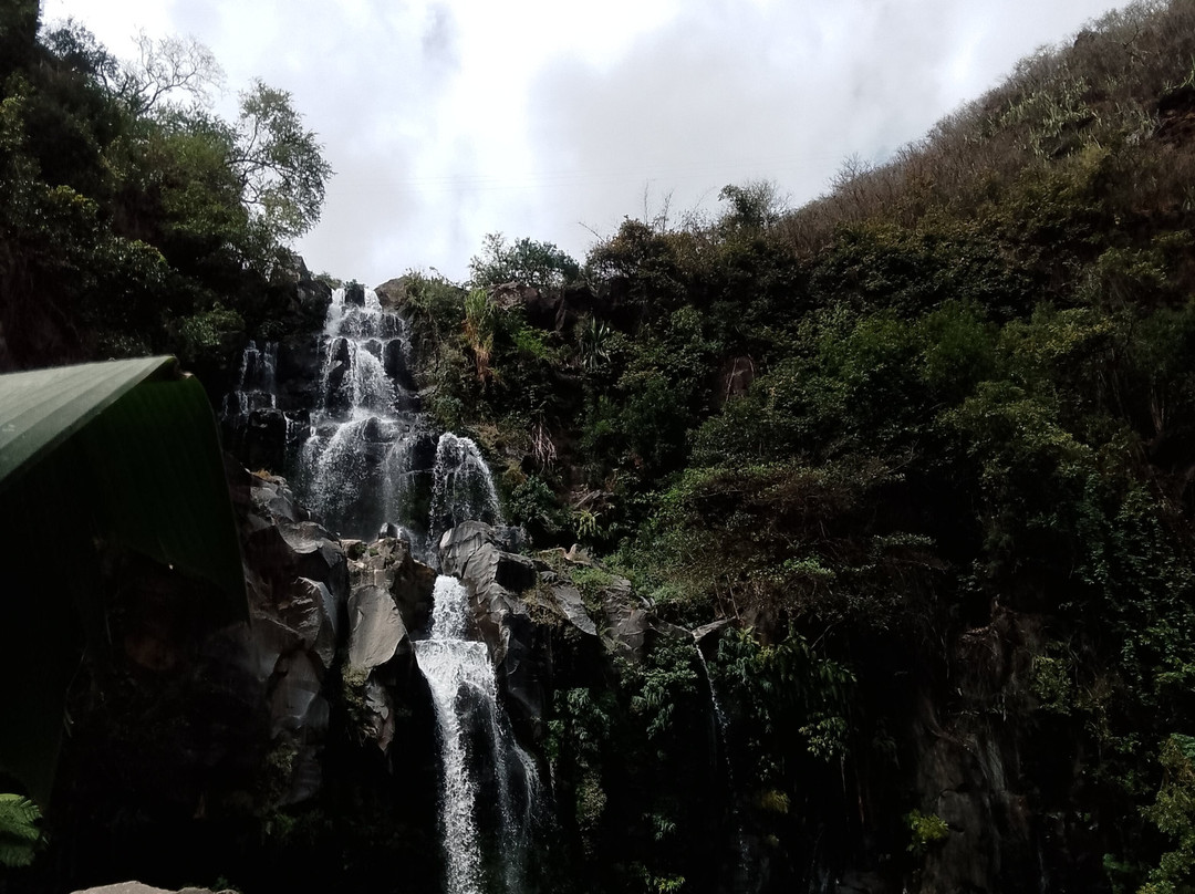 Bassin des Aigrettes景点图片