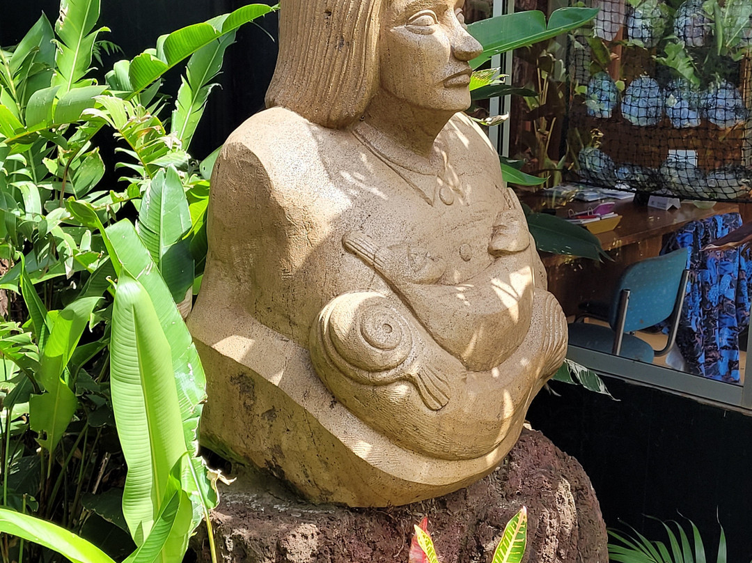 塔奥拉雅酒店主图