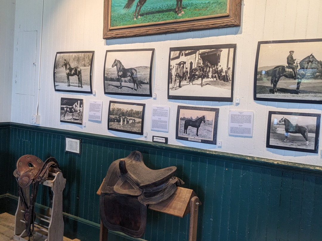 UVM Morgan Horse Farm-Middlebury必去景点