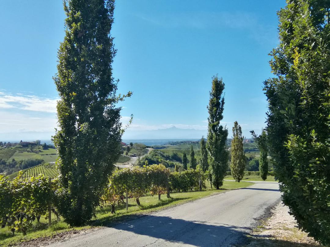 Bricco Torricella