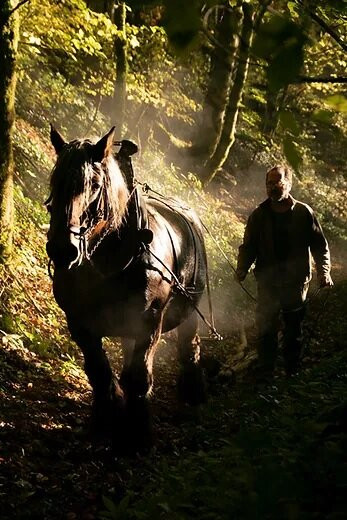 Stéphane Latourte Guide Nature-Givrauval必去景点