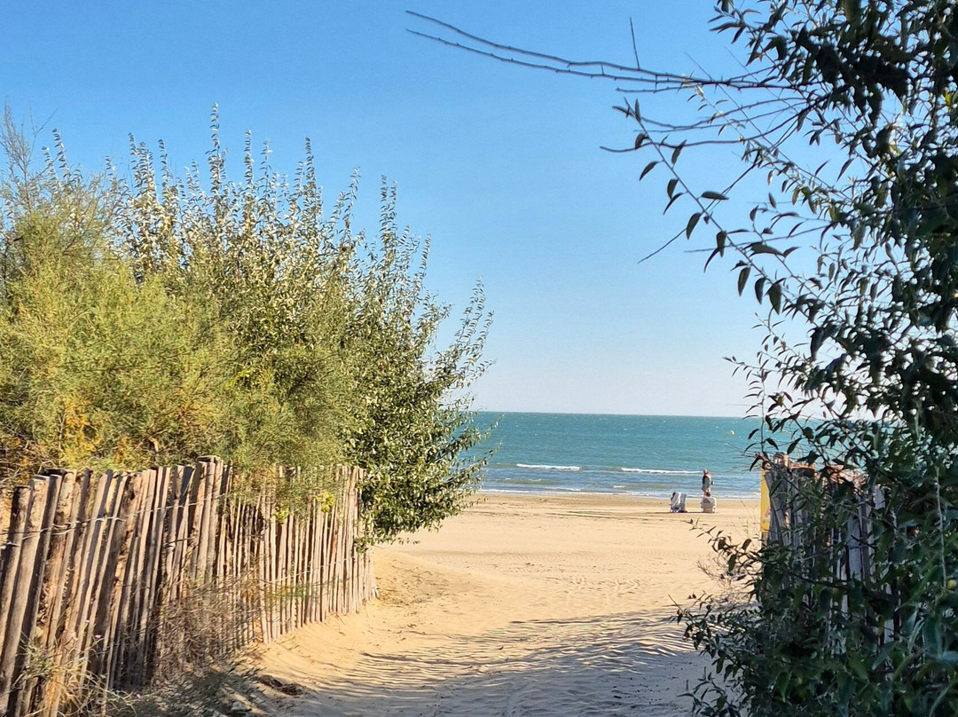 Plage du Grand Travers景点图片