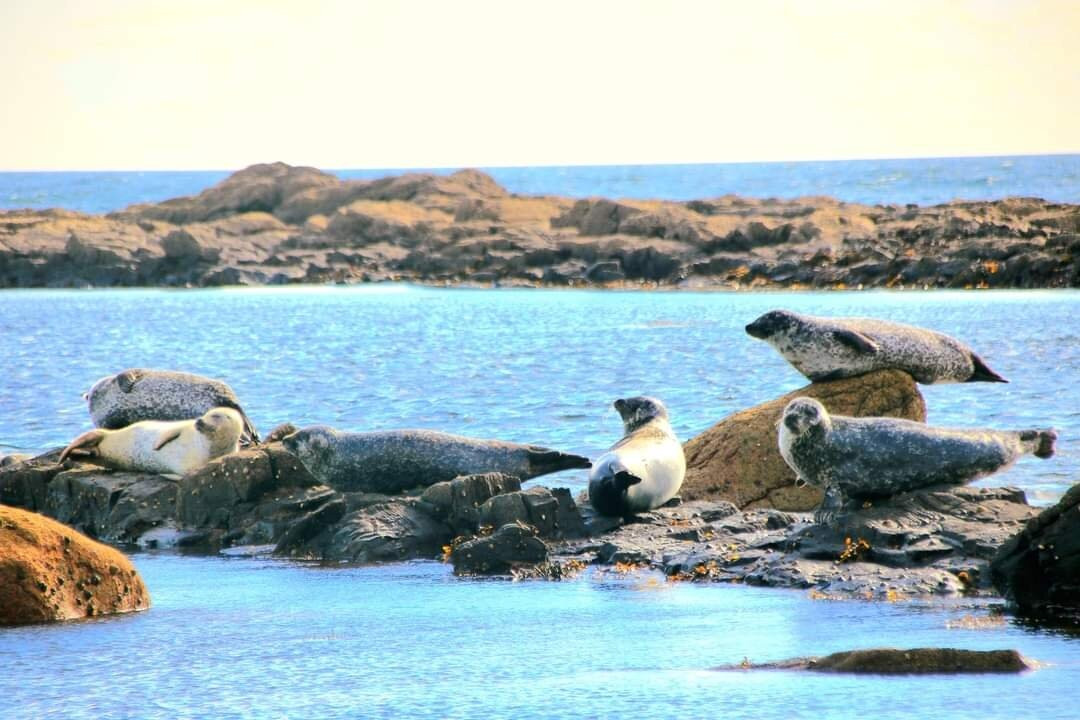 Kildonan beach-Kildonan必去景点