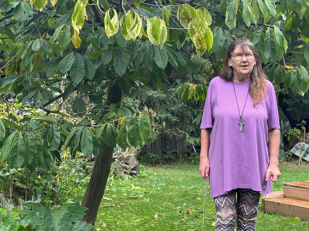 Bonnybank Bed and Breakfast主图