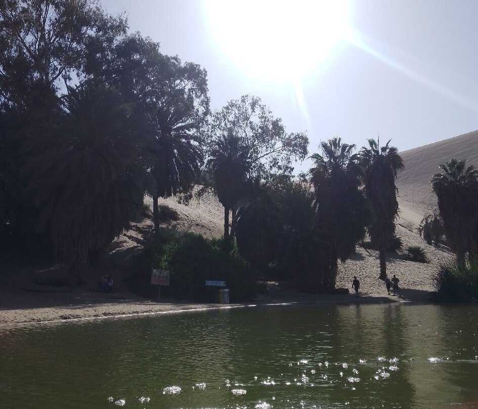 Huacachina Oasis景点图片