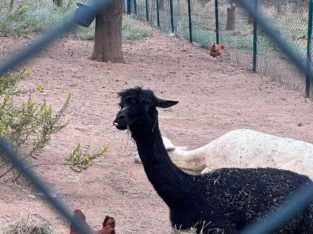 Corsica Zoo-Olmeta di Tuda必去景点