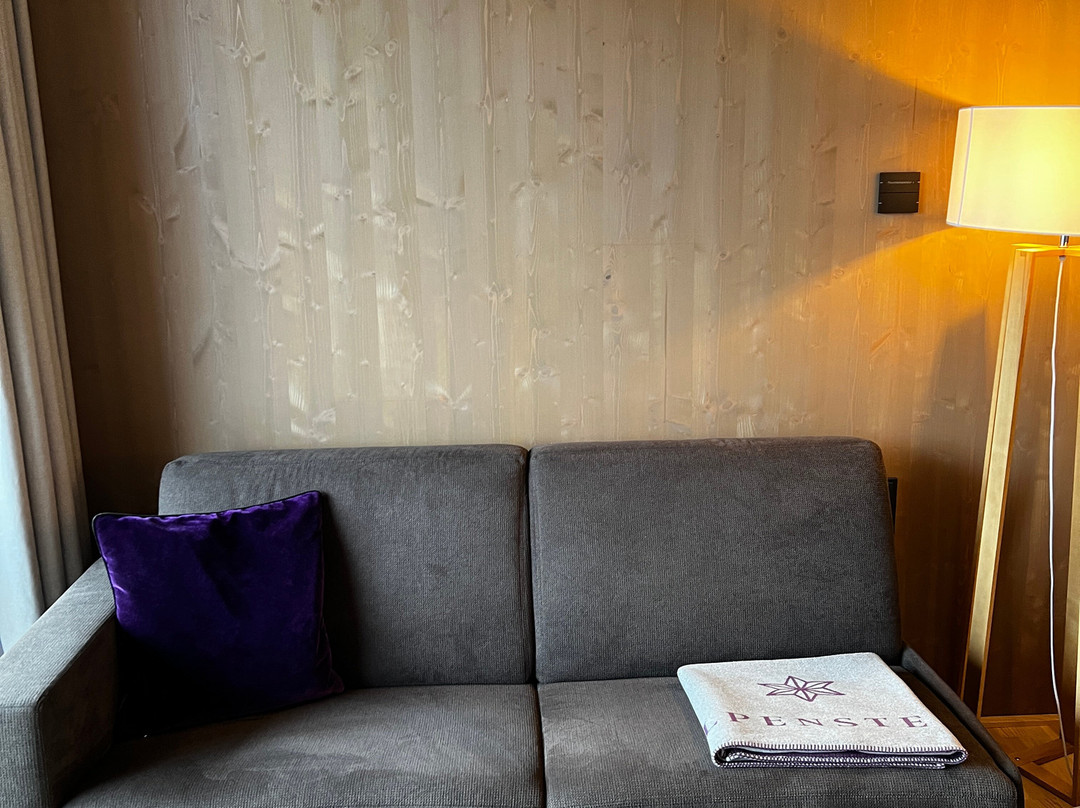 Alpenstern Panoramahotel主图