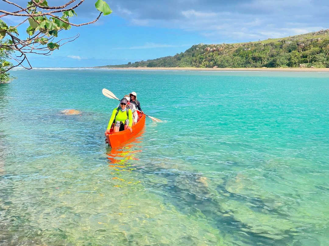 The Wild Walk with Singletrack Adventures-Mbotyi必去景点